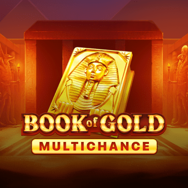 Book of Gold Multichance